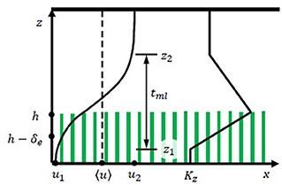 Canopy-Mediated Hydrodynamics Contributes to Greater Allelic Richness in Seeds Produced Higher in Meadows of the Coastal Eelgrass Zostera marina